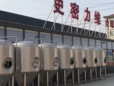 南阳精酿啤酒设备厂—如何判断精酿啤酒设备的密封件需要更换?